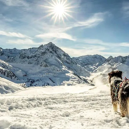 Apartament Riccardo By Interhome